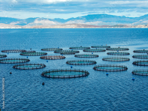 Sea fish farm nets. Cages for fish farming sea bream and bass. 