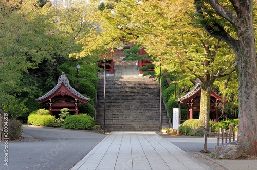 護国寺の参道と石段