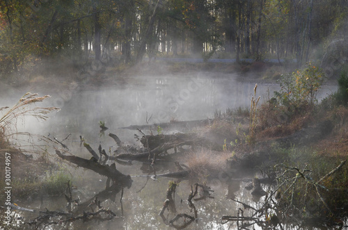 Fog over the marshy water. Dead trees laying around give it a spooky feel.