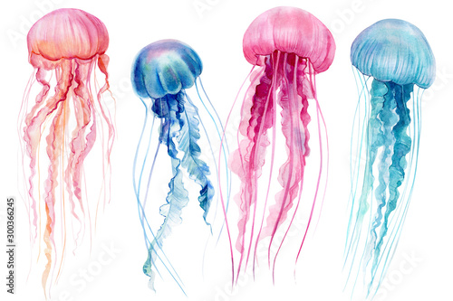 set of jellyfish on an isolated white background, watercolor illustration, hand drawing