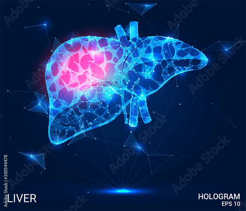 The hologram of the liver. Pain in the liver made up of polygons, triangles, dots and lines. Liver is a low poly compound structure. The technology concept.