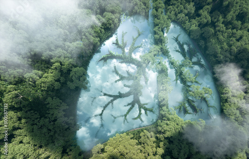 Green lungs of planet Earth. 3d rendering of a clean lake in a shape of lungs in the middle of virgin forest. Concept of nature and rainforest protection, nature breathing and natural co2 reduction.