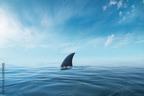 shark fin on surface of ocean agains blue cloudy sky