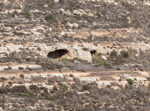 The cave is the home of people on the side of the mountain since the time when the Ark of the Covenant was in Shiloh in Samaria region in Benjamin district, Israel