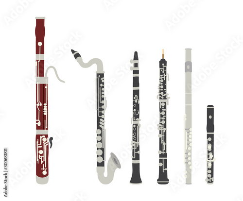 Set of vector modern flat design woodwind musical instruments