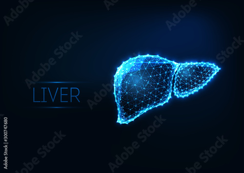 Futuristic glowing low polygonal human liver isolated on dark blue background.