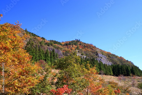 秋を迎えた西門山（高知県土佐町）