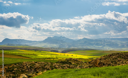 Panorama sunny green slopes of Ifrane at Moyen Atlas mountains, Morocco
