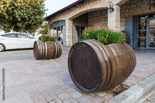 Wine barrels with flowers growing in them near the entrance to the Psagot winery in Samaria region in Benjamin district, Israel