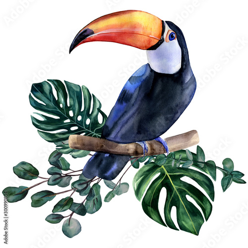 Watercolor hand painted colorful realistic illustration of toucan bird with monstera leaves and eucalyptus branches. Bright tropical composition is perfect for invitation for thematic wedding or party