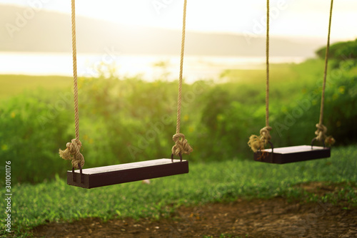 Children swing in the park