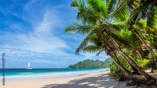 Tropical white sand beach with coconut palm trees and a sailing boat in turquoise sea on Seychelles tropical island.