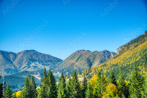 Mountains and hills with trees colored in autumn colors, Slovakia Mala Fatra