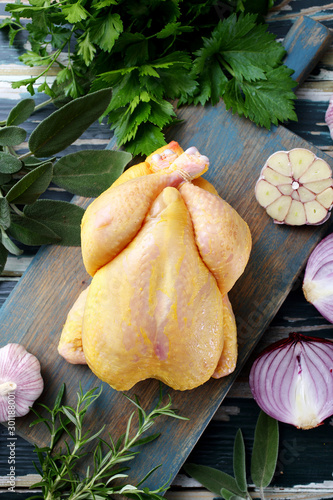 carne cruda pollo o gallina intero e porzionato su sfondo vrede rustico