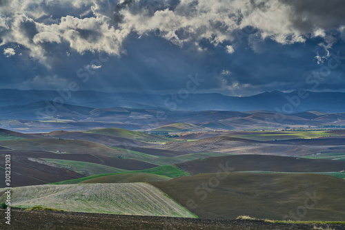 luce e colori dei campi arati di Sicilia