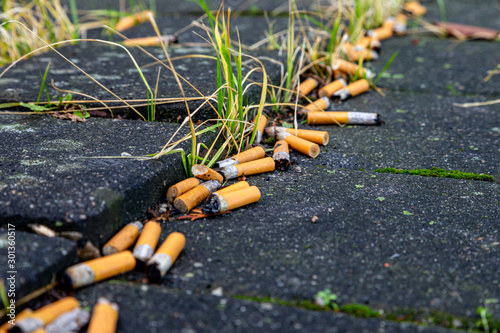 viele Zigaretten liegen auf der Straße und verschmutzen die Umwelt
