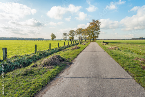 Rural landscape in Belgium
