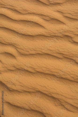 Sand texture is from dune. Horizontal view.