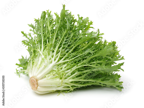 Escarole Endive on a white background 