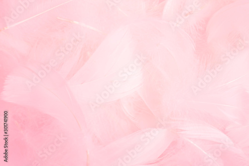 Soft pink feathers texture background. Swan Feather