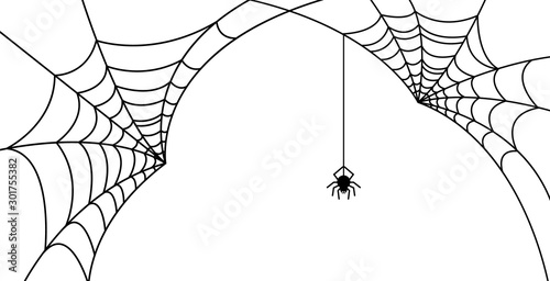 Halloween spider web and spiders isolated on white background