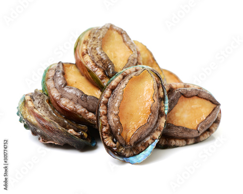 Raw abalones on the white background 