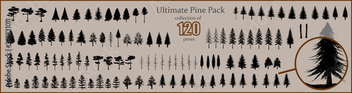 Ultimate Pine collection, 120 detailed, different tree vectors