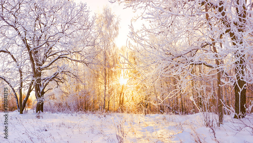 śnieżna panorama zimowego krajobrazu