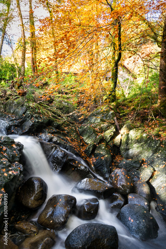 Flowing Autumn Stream
