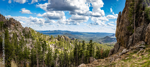 Needles Highway Overlook