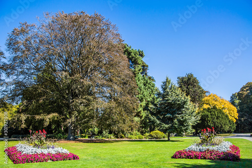 Beautiful meadow with flower beds