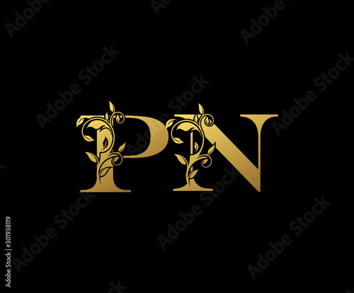 Golden letter P and N and PN vintage decorative letter logo icon. 