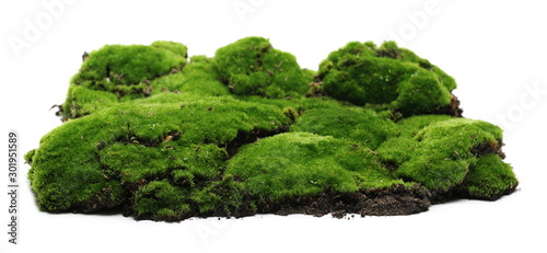 Green moss with soil, dirt pile, isolated on white background
