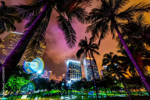 Skyscrapers and palm trees in Miami Bayfront park