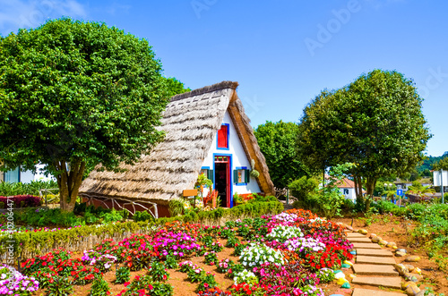 Amazing traditional houses in Santana, Madeira, Portugal. Wooden, triangular houses represent a part of Portuguese heritage. Front garden with beautiful colorful flowers. Tourist landmark