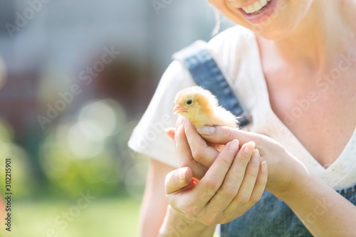 Farmer holding baby chick ni farm