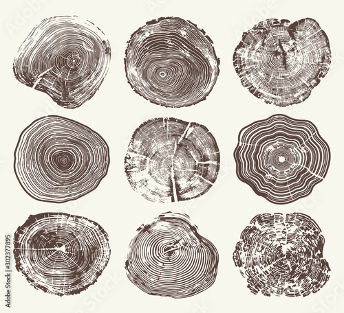 Wood Tree Rings Vector Set