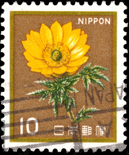 Stamp printed in the Japan shows White Trumpet Lily, Lilium Longiflorum, Adonis amurensis, Flower