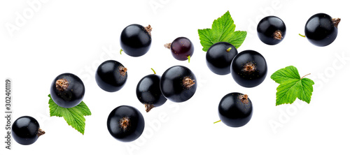 Black currant on white background with clipping path