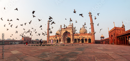 Jama Masjid is the principal mosque of Old Delhi in India