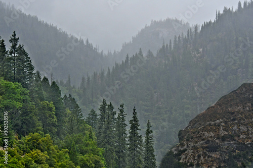 Fog and clouds cover mountain side, Quincy, California. Depth of scene controlled by mist and color 