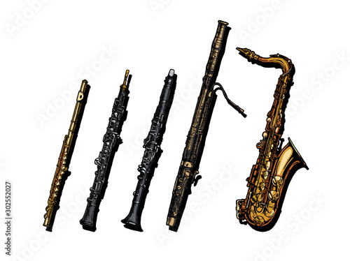 Woodwind musical instruments set