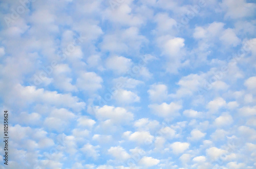 cloudscape with altocumulus clouds at sunny day