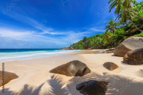 Tropical Paradise Beach. Sandy beach with palm and turquoise sea in Seychelles. Summer vacation and tropical beach concept. 