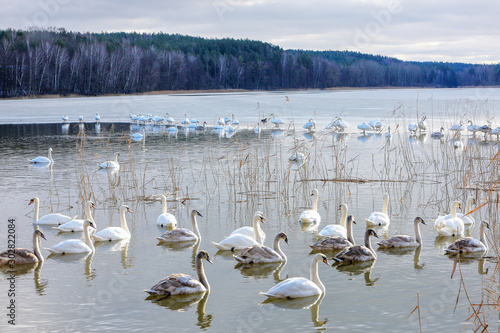 jezioro Mosąg na Warmii-w oczekiwaniu na wiosnę
