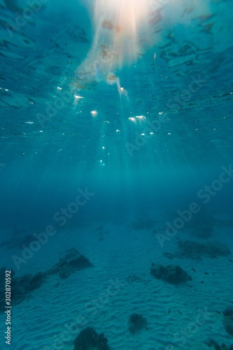 The fascinating underwater world on the island of Bonaire, Caribbean