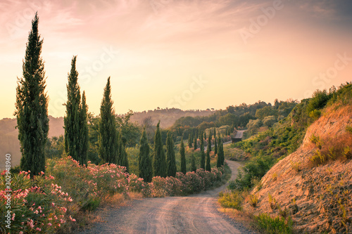 Typical tuscan curved road lined with cypresses