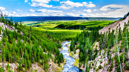 The Gibbon River downstream of Gibbon Falls in Yellowstone National Park in Wyoming, United States of America