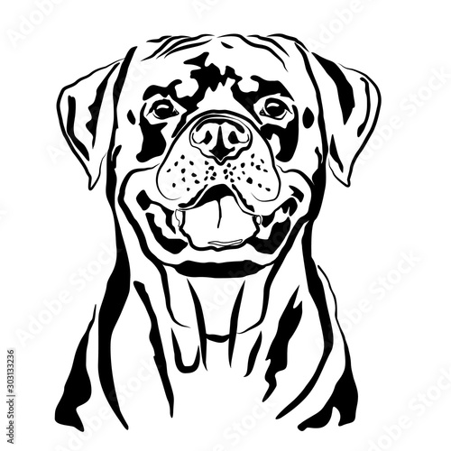 Head portrait contour outline, sketch of German Rottweiler silhouette vector illustration