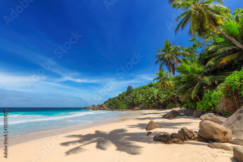 Tropikalna słoneczna plaża i palmy kokosowe na Seszelach. Letnie wakacje i koncepcja tropikalnej plaży.